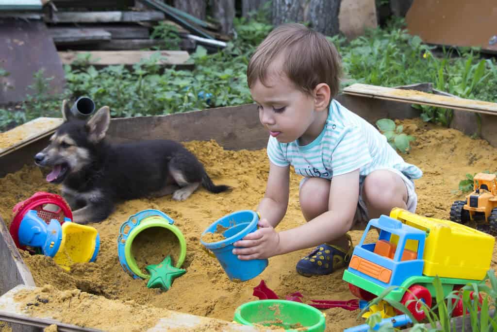 boy playing with outdoor toys